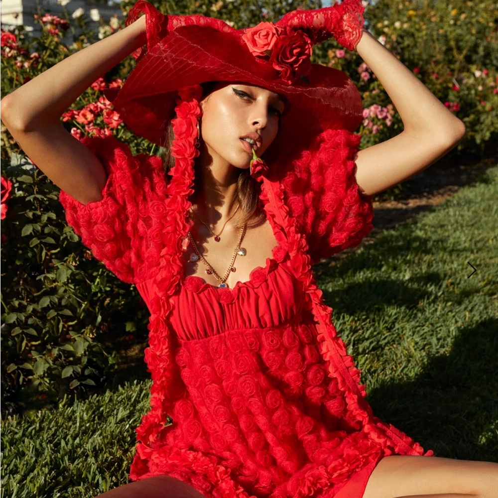 NWT Hannah Mini Dress